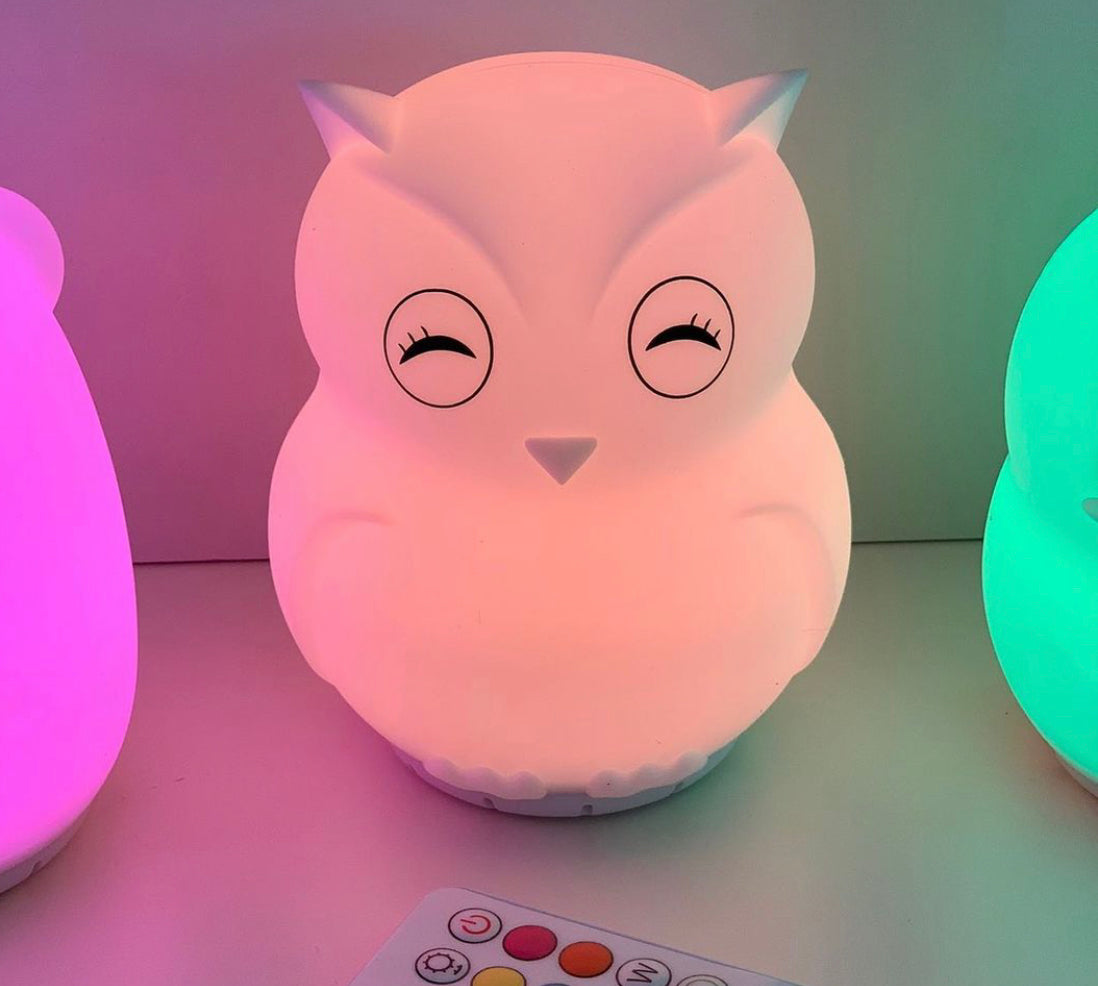 Duski Rechargeable Bluetooth Night Lights Fox and Owl